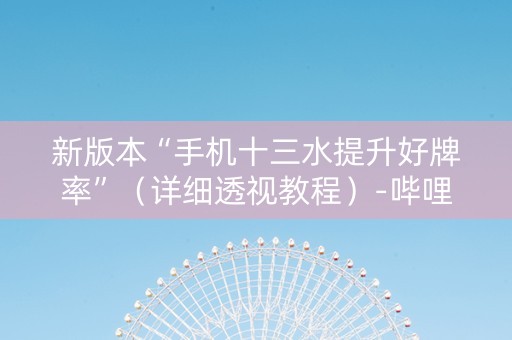 新版本“手机十三水提升好牌率”（详细透视教程）-哔哩哔哩