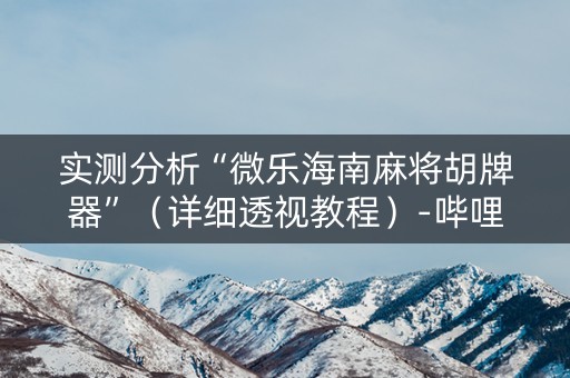 实测分析“微乐海南麻将胡牌器”（详细透视教程）-哔哩哔哩