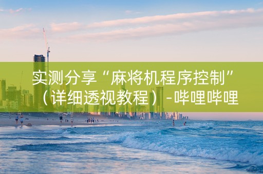 实测分享“麻将机程序控制”（详细透视教程）-哔哩哔哩
