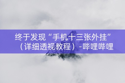 终于发现“手机十三张外挂”（详细透视教程）-哔哩哔哩