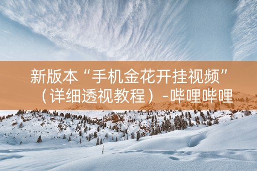 新版本“手机金花开挂视频”（详细透视教程）-哔哩哔哩