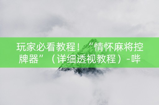 玩家必看教程！“情怀麻将控牌器”（详细透视教程）-哔哩哔哩