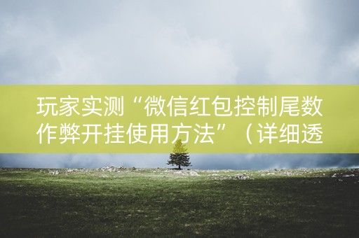 玩家实测“微信红包控制尾数作弊开挂使用方法”（详细透视教程）-哔哩哔哩