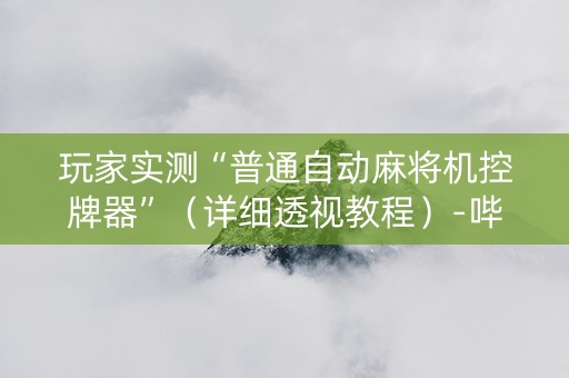 玩家实测“普通自动麻将机控牌器”（详细透视教程）-哔哩哔哩