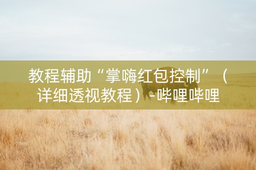 教程辅助“掌嗨红包控制”（详细透视教程）-哔哩哔哩