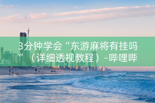 3分钟学会“东游麻将有挂吗”（详细透视教程）-哔哩哔哩