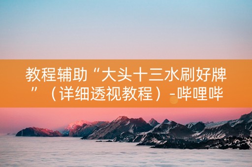教程辅助“大头十三水刷好牌”（详细透视教程）-哔哩哔哩