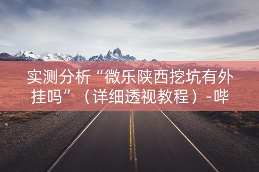 实测分析“微乐陕西挖坑有外挂吗”（详细透视教程）-哔哩哔哩