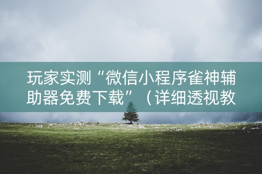 玩家实测“微信小程序雀神辅助器免费下载”（详细透视教程）-哔哩哔哩