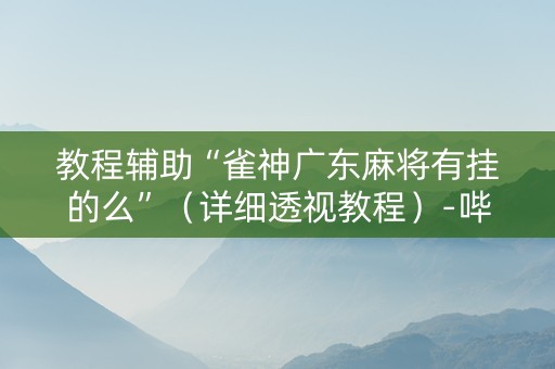 教程辅助“雀神广东麻将有挂的么”（详细透视教程）-哔哩哔哩