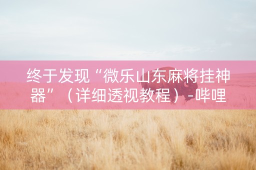 终于发现“微乐山东麻将挂神器”（详细透视教程）-哔哩哔哩