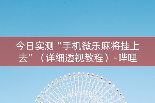 今日实测“手机微乐麻将挂上去”（详细透视教程）-哔哩哔哩