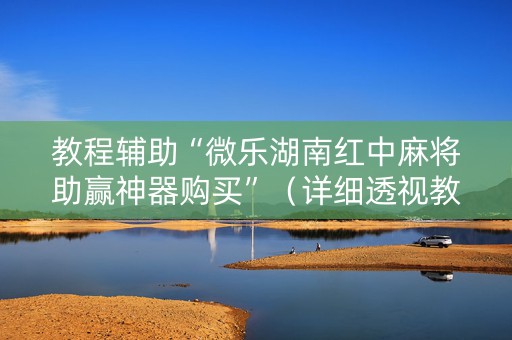 教程辅助“微乐湖南红中麻将助赢神器购买”（详细透视教程）-哔哩哔哩