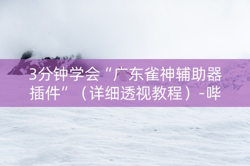 3分钟学会“广东雀神辅助器插件”（详细透视教程）-哔哩哔哩