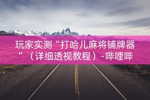 玩家实测“打哈儿麻将铺牌器”（详细透视教程）-哔哩哔哩