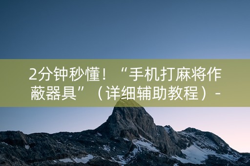 2分钟秒懂！“手机打麻将作蔽器具”（详细辅助教程）-哔哩哔哩