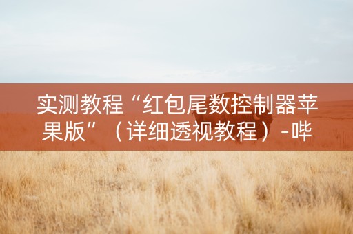 实测教程“红包尾数控制器苹果版”（详细透视教程）-哔哩哔哩