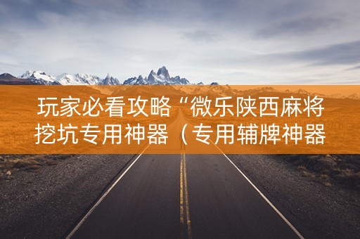 玩家必看攻略“微乐陕西麻将挖坑专用神器（专用辅牌神器免安装）