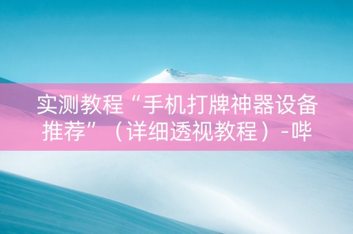 实测教程“手机打牌神器设备推荐”（详细透视教程）-哔哩哔哩