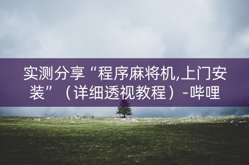 实测分享“程序麻将机,上门安装”（详细透视教程）-哔哩哔哩