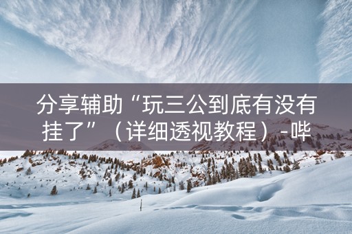 分享辅助“玩三公到底有没有挂了”（详细透视教程）-哔哩哔哩