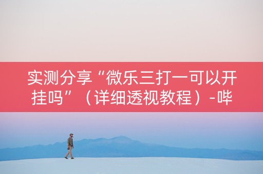 实测分享“微乐三打一可以开挂吗”（详细透视教程）-哔哩哔哩