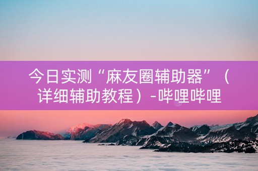 今日实测“麻友圈辅助器”（详细辅助教程）-哔哩哔哩