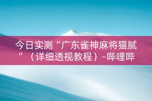 今日实测“广东雀神麻将猫腻”（详细透视教程）-哔哩哔哩