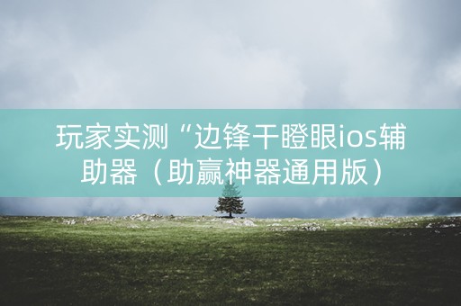 玩家实测“边锋干瞪眼ios辅助器（助赢神器通用版）