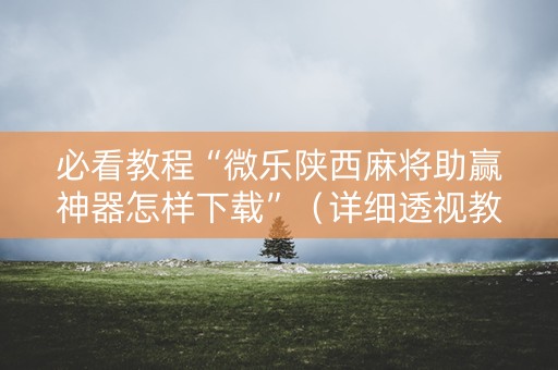 必看教程“微乐陕西麻将助赢神器怎样下载”（详细透视教程）-哔哩哔哩