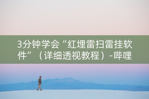 3分钟学会“红埋雷扫雷挂软件”（详细透视教程）-哔哩哔哩