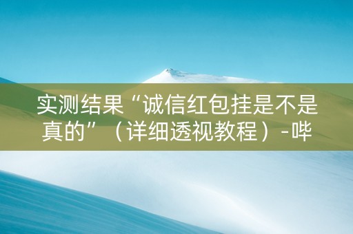 实测结果“诚信红包挂是不是真的”（详细透视教程）-哔哩哔哩