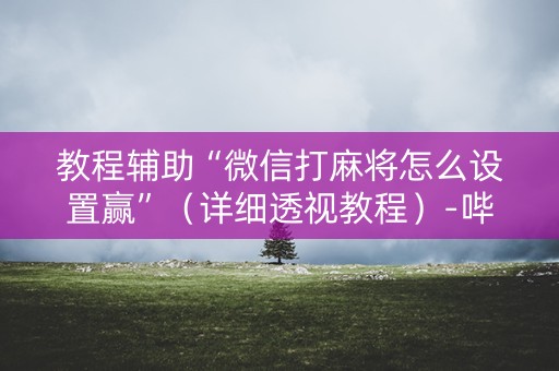 教程辅助“微信打麻将怎么设置赢”（详细透视教程）-哔哩哔哩
