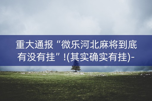 重大通报“微乐河北麻将到底有没有挂”!(其实确实有挂)-知乎