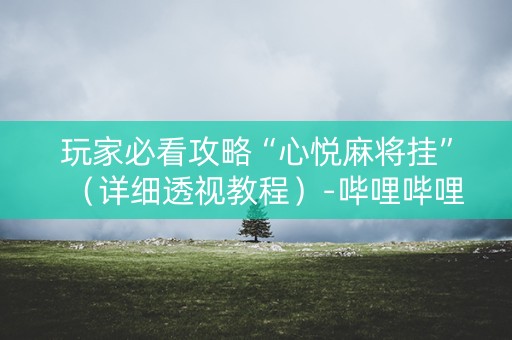 玩家必看攻略“心悦麻将挂”（详细透视教程）-哔哩哔哩
