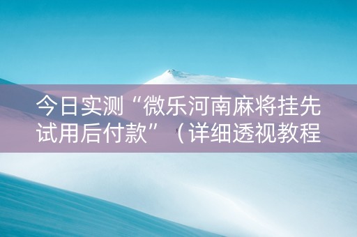 今日实测“微乐河南麻将挂先试用后付款”（详细透视教程）-哔哩哔哩