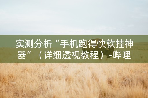 实测分析“手机跑得快软挂神器”（详细透视教程）-哔哩哔哩
