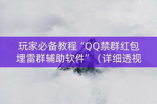 玩家必备教程“QQ禁群红包埋雷群辅助软件”（详细透视教程）-哔哩哔哩