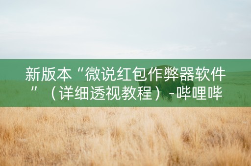 新版本“微说红包作弊器软件”（详细透视教程）-哔哩哔哩