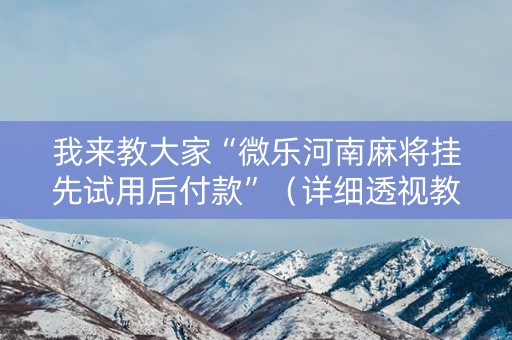 我来教大家“微乐河南麻将挂先试用后付款”（详细透视教程）-哔哩哔哩