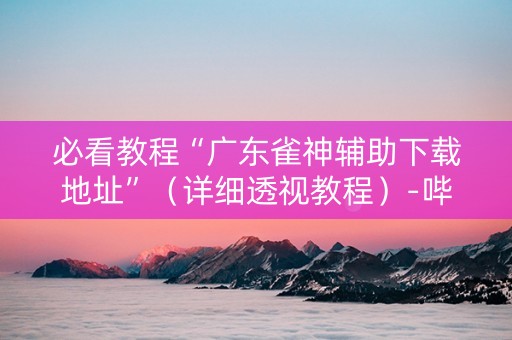 必看教程“广东雀神辅助下载地址”（详细透视教程）-哔哩哔哩