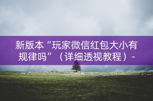 新版本“玩家微信红包大小有规律吗”（详细透视教程）-哔哩哔哩