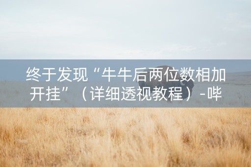 终于发现“牛牛后两位数相加开挂”（详细透视教程）-哔哩哔哩