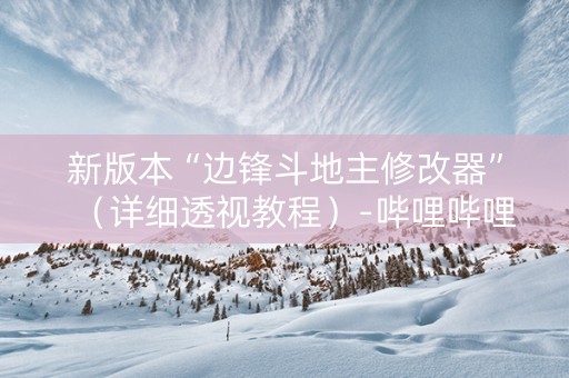 新版本“边锋斗地主修改器”（详细透视教程）-哔哩哔哩