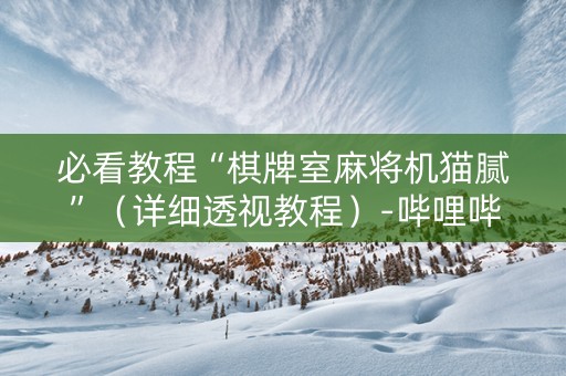 必看教程“棋牌室麻将机猫腻”（详细透视教程）-哔哩哔哩