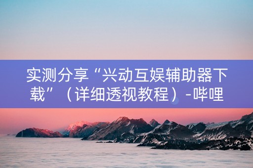 实测分享“兴动互娱辅助器下载”（详细透视教程）-哔哩哔哩