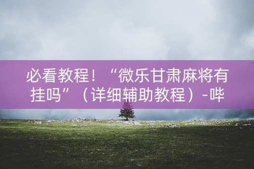 必看教程！“微乐甘肃麻将有挂吗”（详细辅助教程）-哔哩哔哩