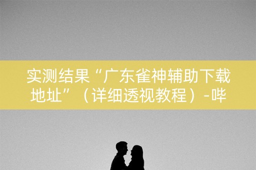 实测结果“广东雀神辅助下载地址”（详细透视教程）-哔哩哔哩