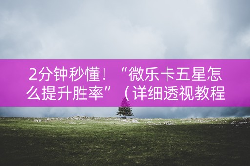 2分钟秒懂！“微乐卡五星怎么提升胜率”（详细透视教程）-哔哩哔哩