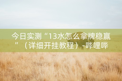 今日实测“13水怎么拿牌稳赢”（详细开挂教程）-哔哩哔哩